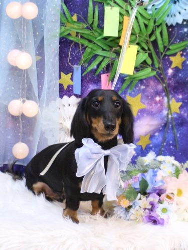 20250710ロブくん